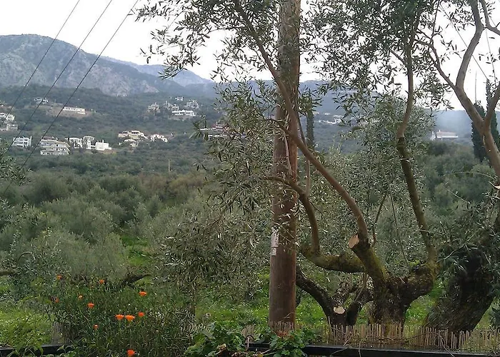 Apartment Katerina *